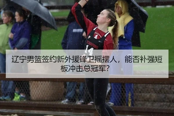 辽宁男篮签约新外援锋卫摇摆人，能否补强短板冲击总冠军？