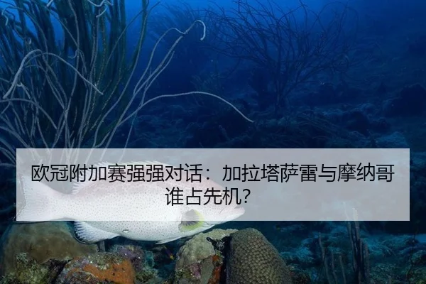 欧冠附加赛强强对话：加拉塔萨雷与摩纳哥谁占先机？
