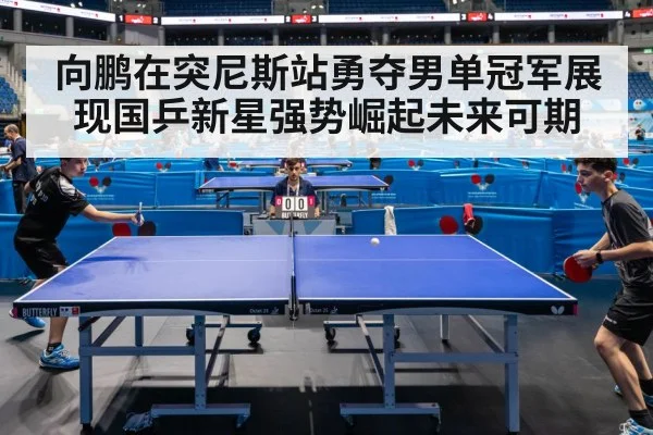 向鹏在突尼斯站勇夺男单冠军展现国乒新星强势崛起未来可期